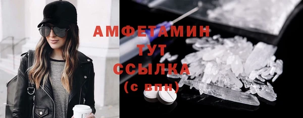 сатива Волоколамск
