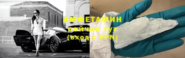 сатива Волоколамск