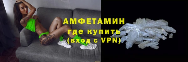 сатива Волоколамск