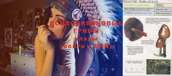a pvp Володарск
