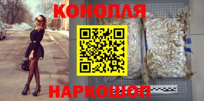 мдпв Гусев