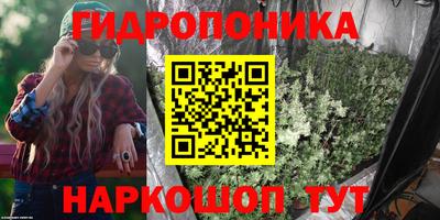 мдпв Гусев