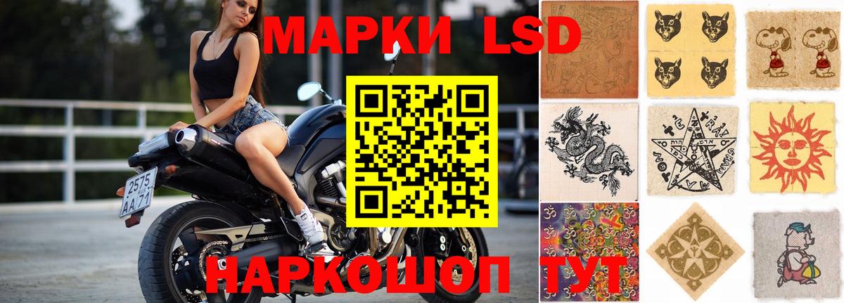 блэк спрут рабочий сайт  LSD-25 экстази кислота  Вход с VPN  Елизово 