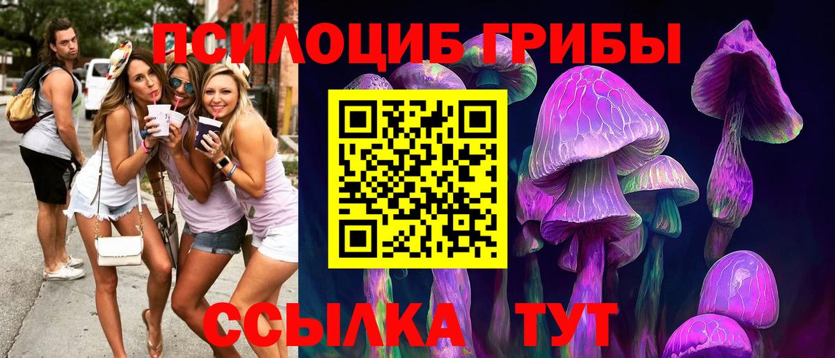 Галлюциногенные грибы Psilocybine cubensis  Вход с VPN  Елизово 