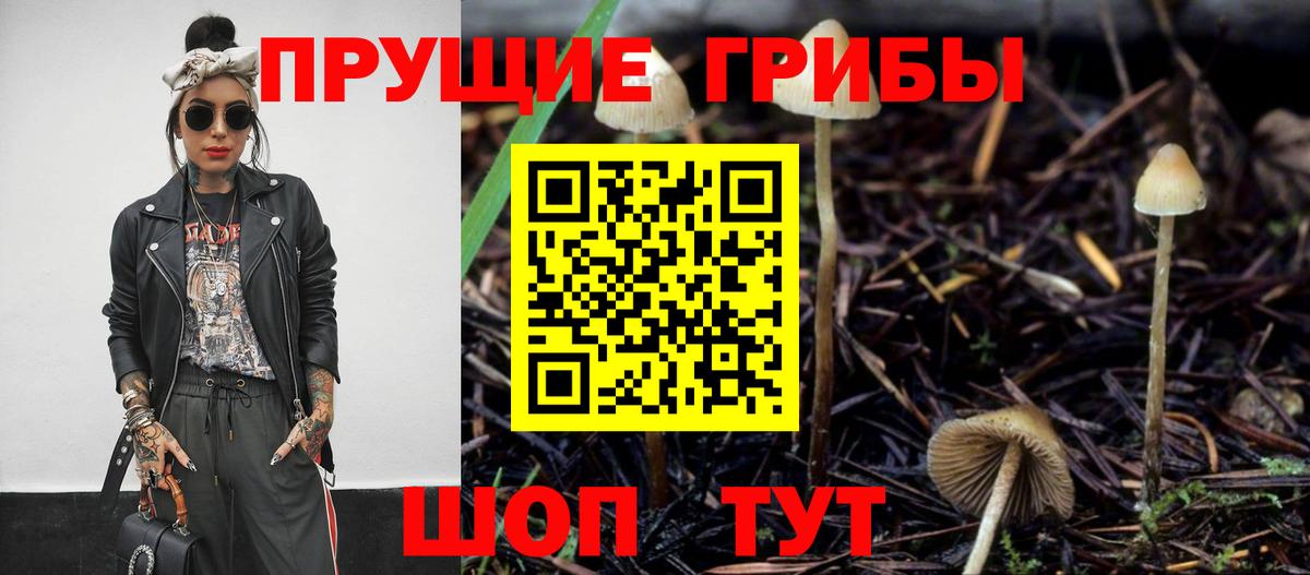 Галлюциногенные грибы Magic Shrooms  наркотики  Галлюциногенные грибы Psilocybe  Елизово 